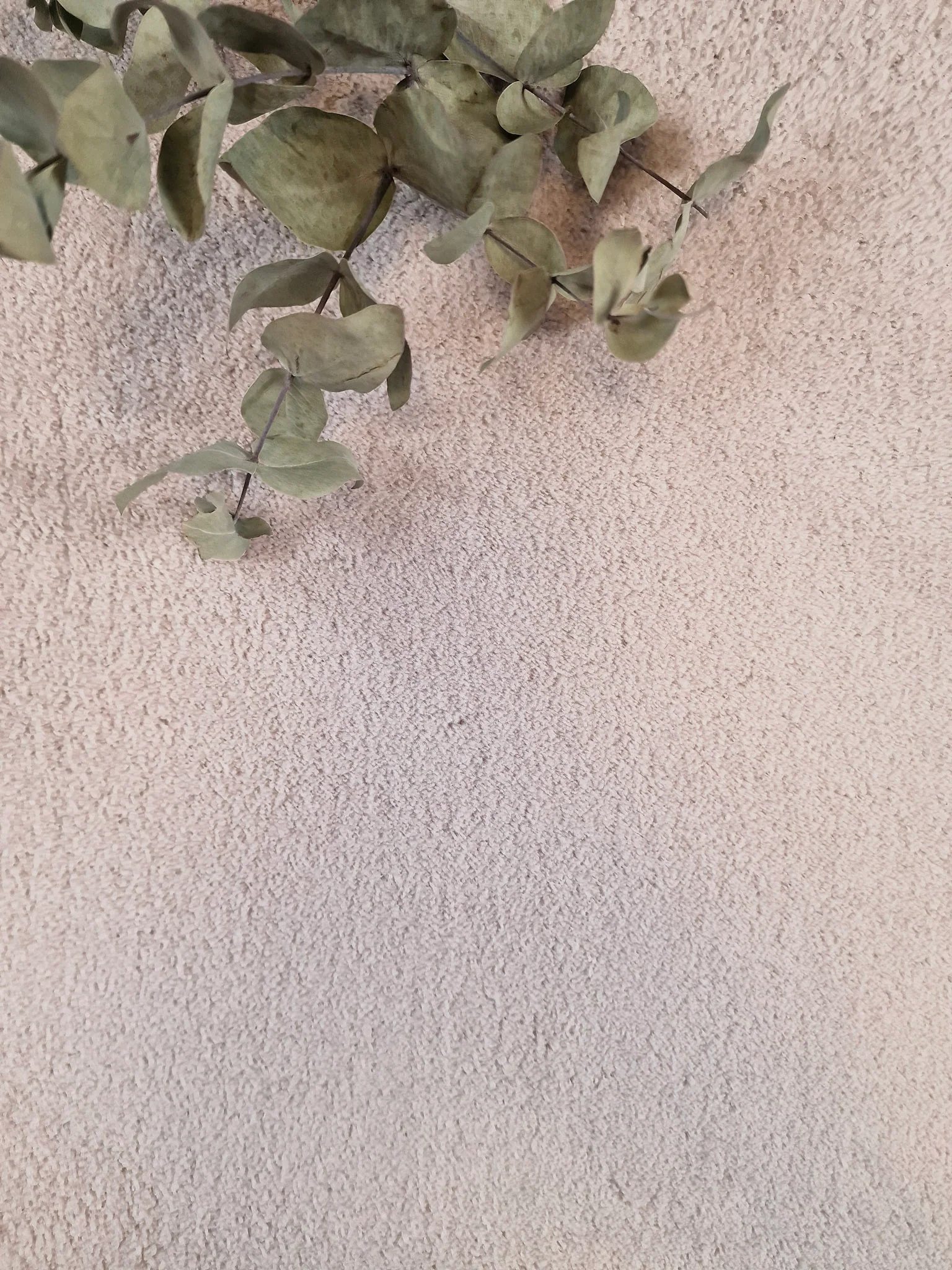 Soft Dusty Pink - Ryamatta - Image 4